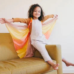 Desert Fairy Wings