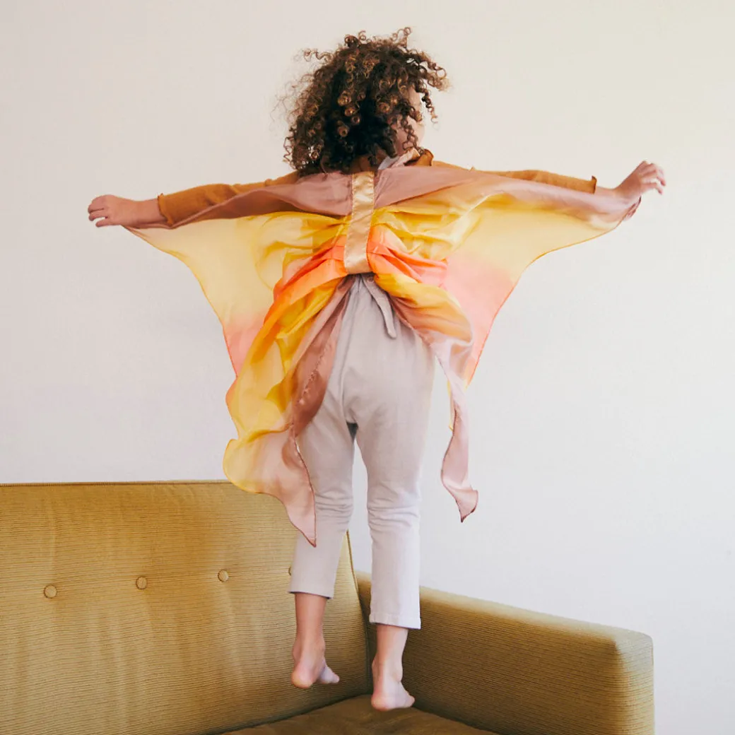 Desert Fairy Wings