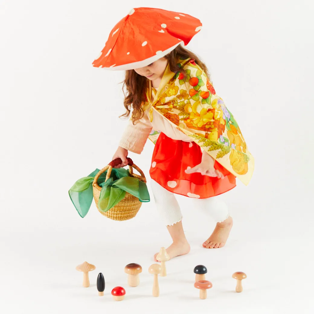 Mushroom Seek & Find Playsilk