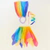 Rainbow Dancer Costume