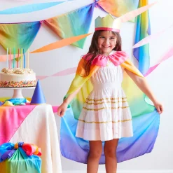 Rainbow Silk Cape