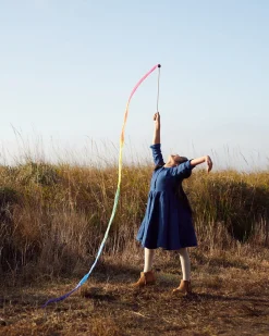 Rainbow Streamer