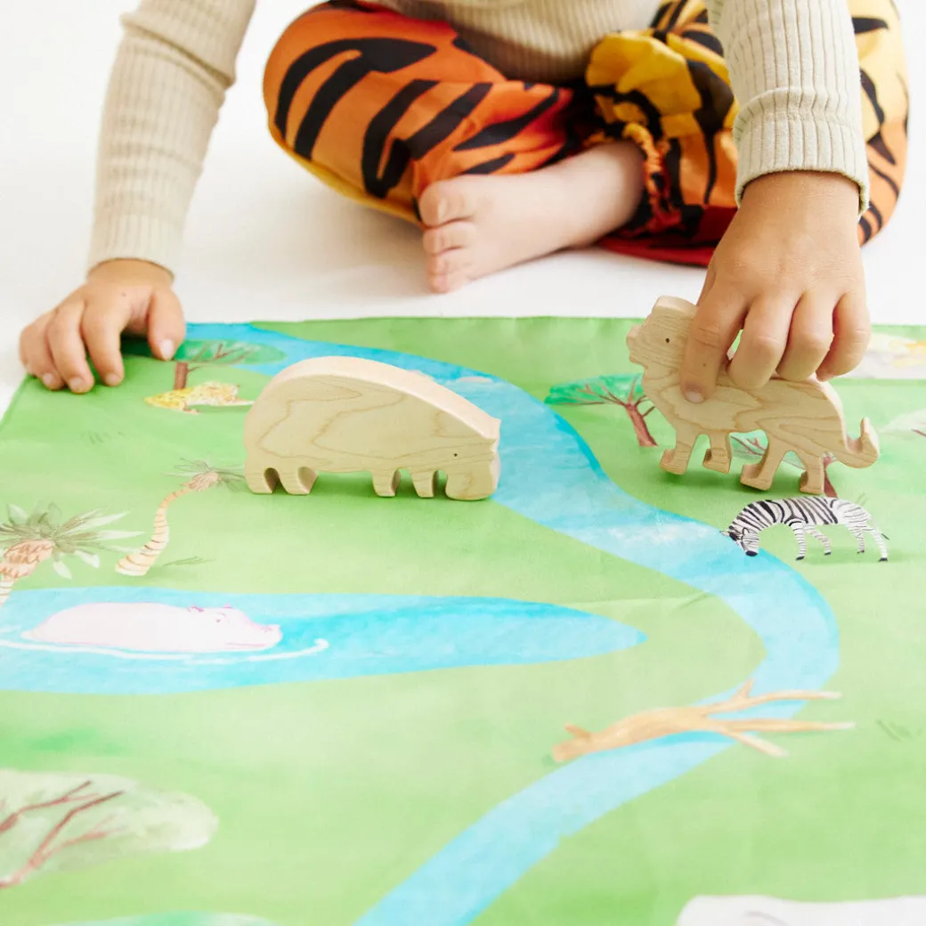 Safari Playmap