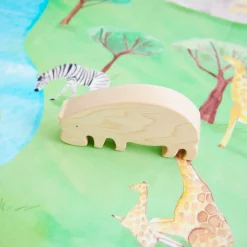 Safari Playmap