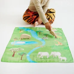 Safari Playmap