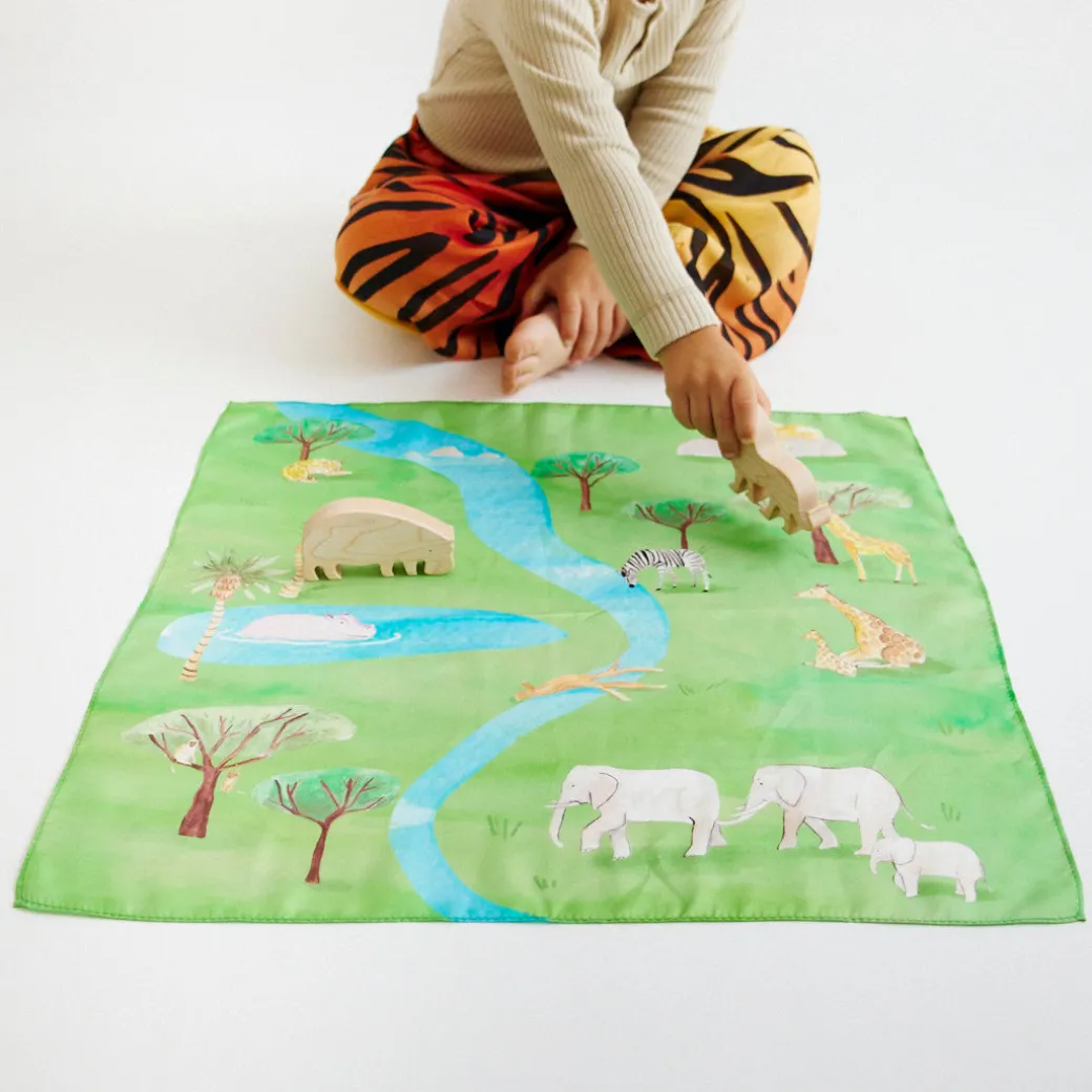 Safari Playmap
