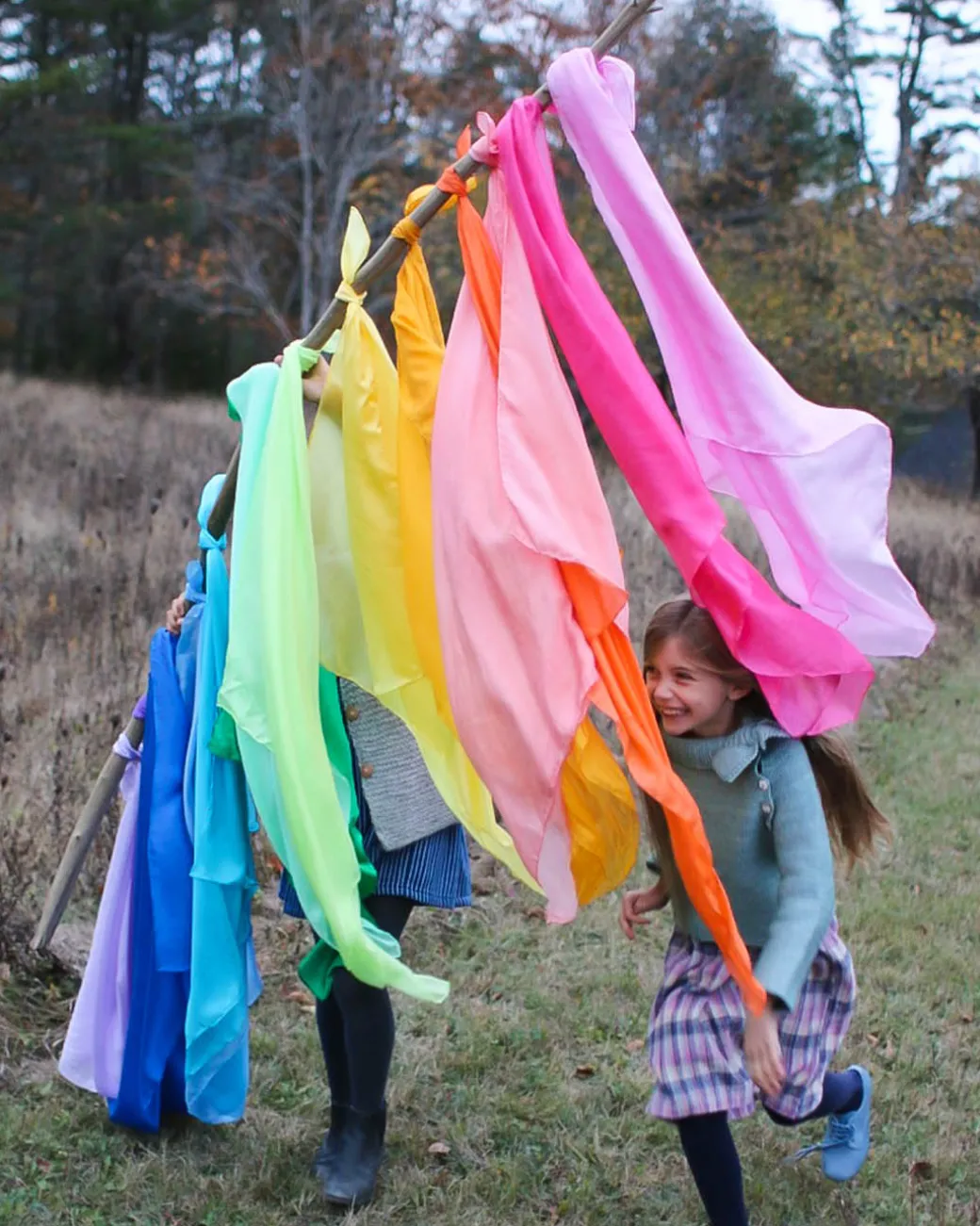 Set Of 17 Solid Color Playsilks