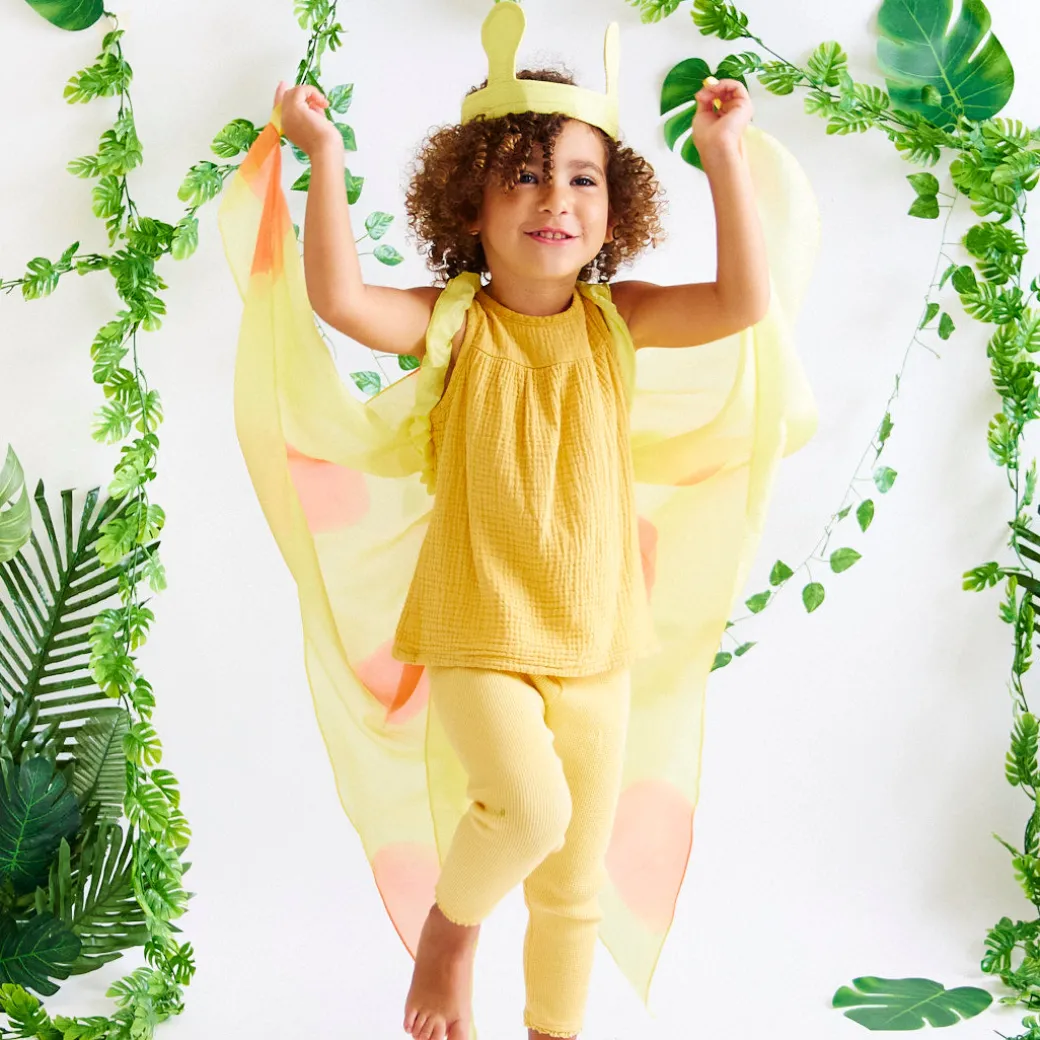 Yellow Butterfly Wings